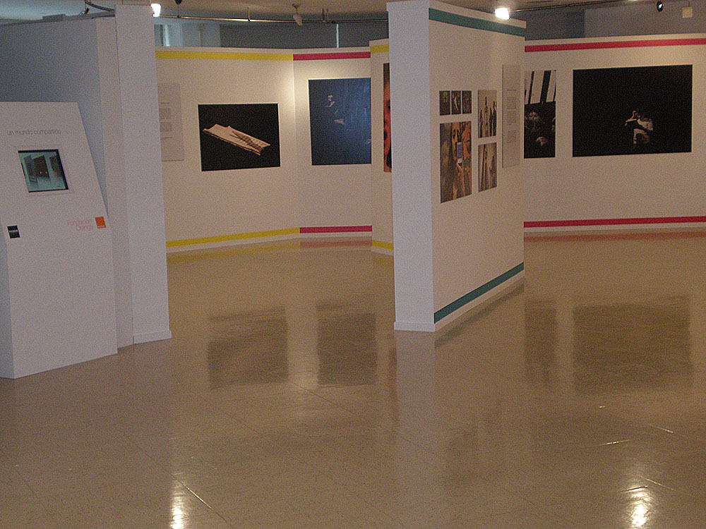 Diseño web profesional y estratégico en WordPress con SEO integrado para mejorar tu visibilidad online. Servicios completos en Majadahonda, Pozuelo, Las Rozas y Boadilla